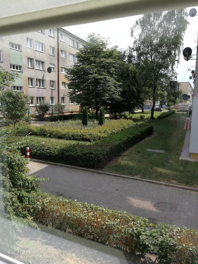 Appartement Natali & K à Polkowice Extérieur photo